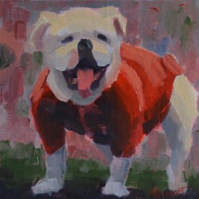 Bulldog at the Stadium