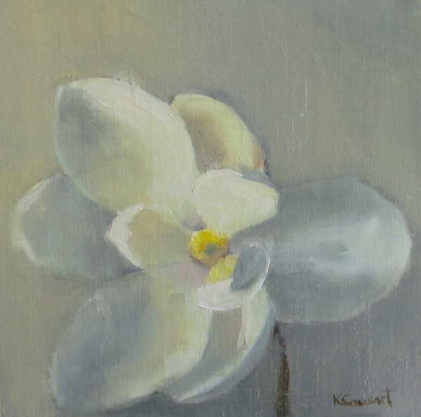 Magnolia Muse
