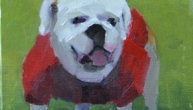 Bulldog on the Field