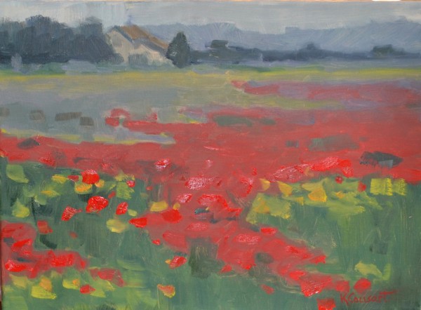 poppy field