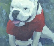 UGA II-Georgia Mascot