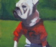 UGA I First Georgia Mascot