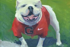 UGA V Georgia Bulldog Mascot