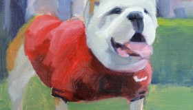 Dawg with Abstract Hedge and Field