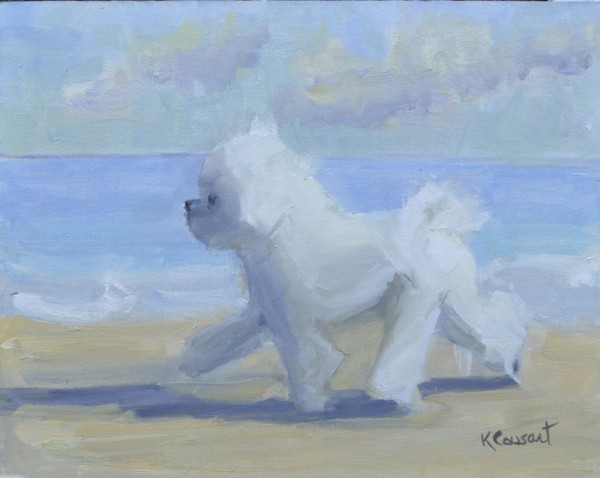 Bichon on the Beach©Kathy Cousart