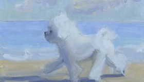 Bichon on the Beach
