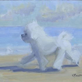 Bichon on the Beach