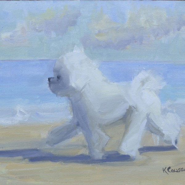 Bichon on the Beach