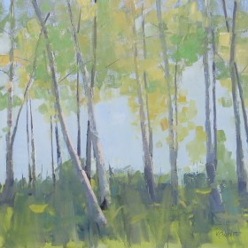 Sunlit Birch Trees